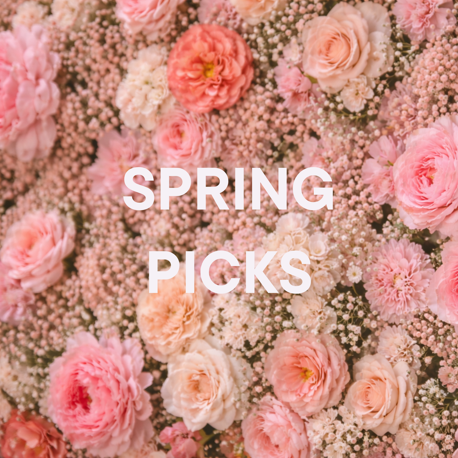 Spring Picks